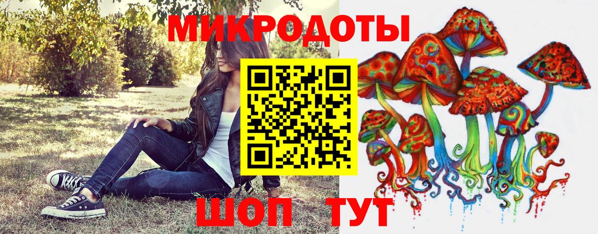 Псилоцибиновые грибы мицелий Краснознаменск