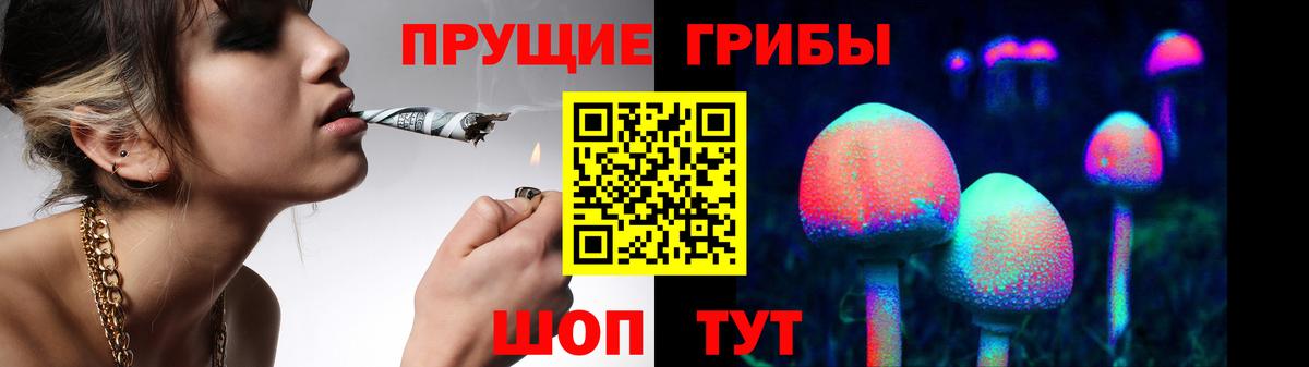 Галлюциногенные грибы мухоморы  Вход с VPN  Краснознаменск 